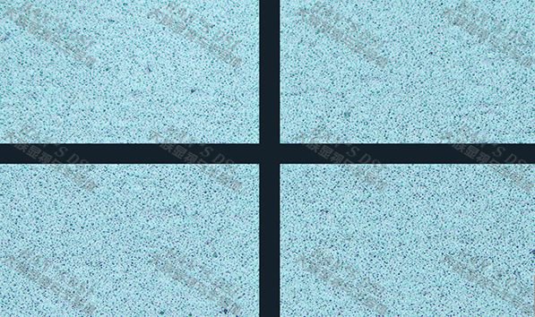 5sic 改質效果圖 背面+水印.jpg